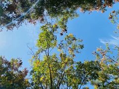 -张福记(陇海中路店)