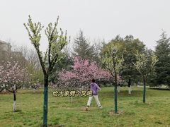 -西安外国语大学(长安校区)