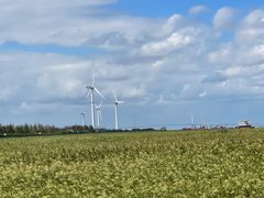 -上海长兴岛郊野公园