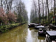 -合肥滨湖国家森林公园