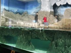 -成都浩海立方海洋公园