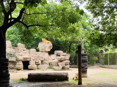 -上海野生动物园