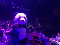 -俄罗斯国家大马戏团