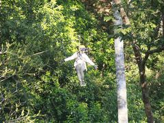 -清迈丛林飞跃 JungleFlight