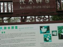 -艾溪湖湿地公园