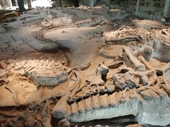 -自贡恐龙博物馆