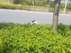 -自然谷恐龙园