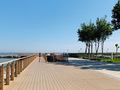 -东疆建设开发纪念公园