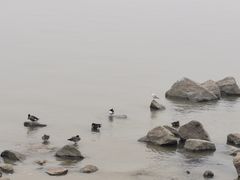 -深圳湾公园(南山区)