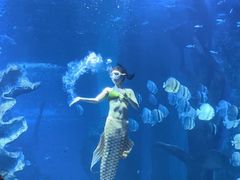 -多彩贵州城极地海洋世界