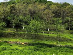 -南北湖风景区