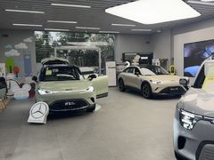 -上海浦东smart汽车全功能店(金桥店)