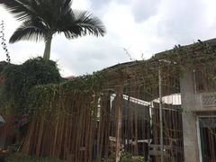-边寨喊沙