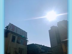 -溪岸路花鸟市场