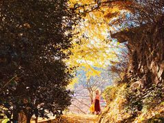 -丹山赤水风景名胜区