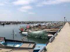 -阳澄湖半岛旅游度假区