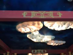 -青岛东方影都融创电影世界