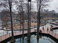 -武汉动物园