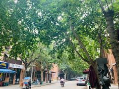 -陕北民歌大舞台