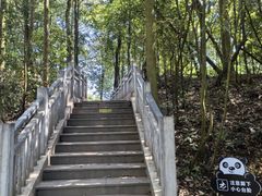 -中国大熊猫保护研究中心雅安碧峰峡基地