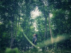 -天津东丽湖风景区