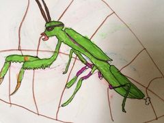 -至潮餐厅精致粤菜·活鲈鱼·走地鸡(珠江新城店)