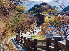 -泸沽湖里格半岛
