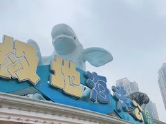 -海合安成都极地海洋公园