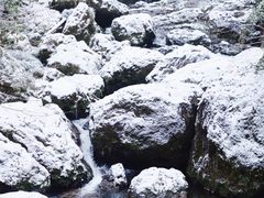 -龙苍沟森林公园