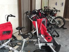 -上海崇明金茂凯悦酒店