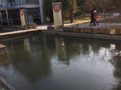 -宝界普菲特湖畔酒店