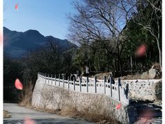 -阳台山自然风景区