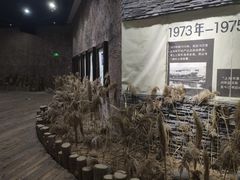 -大丰知青农场