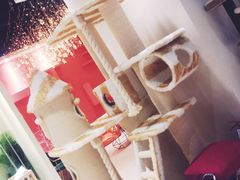 -藏猫猫咖啡主题馆(中央大道店)