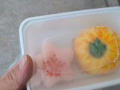 -知楚•精致湖北菜(武商MALL店)