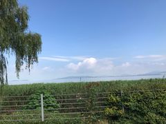 -雨花胜境