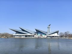 -盐城丹顶鹤湿地生态旅游区