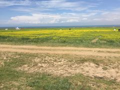 -青海湖国家重点风景名胜区