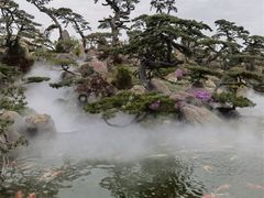 -罗红摄影艺术馆