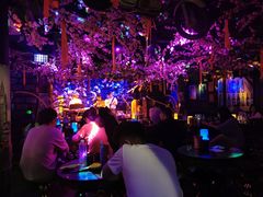 -周庄红庭演艺酒吧