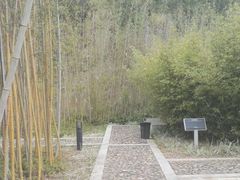 -神光山国家森林公园