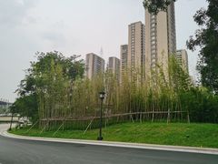 -张钰强中医正骨推拿连锁(唐家人才公寓店)