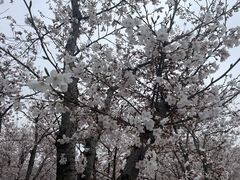 -龙美术馆(西岸馆)