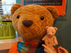 -济州岛泰迪熊博物馆