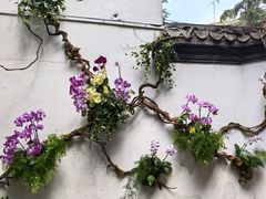 -柳侯公园