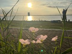 -阳澄湖半岛旅游度假区