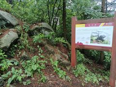 -罗田薄刀峰风景区