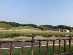-迪茵湖田家舍生态农场