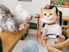 -平行世界·猫咖(首经贸店)