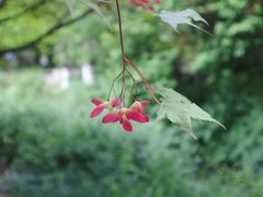 -白马涧龙池景区
